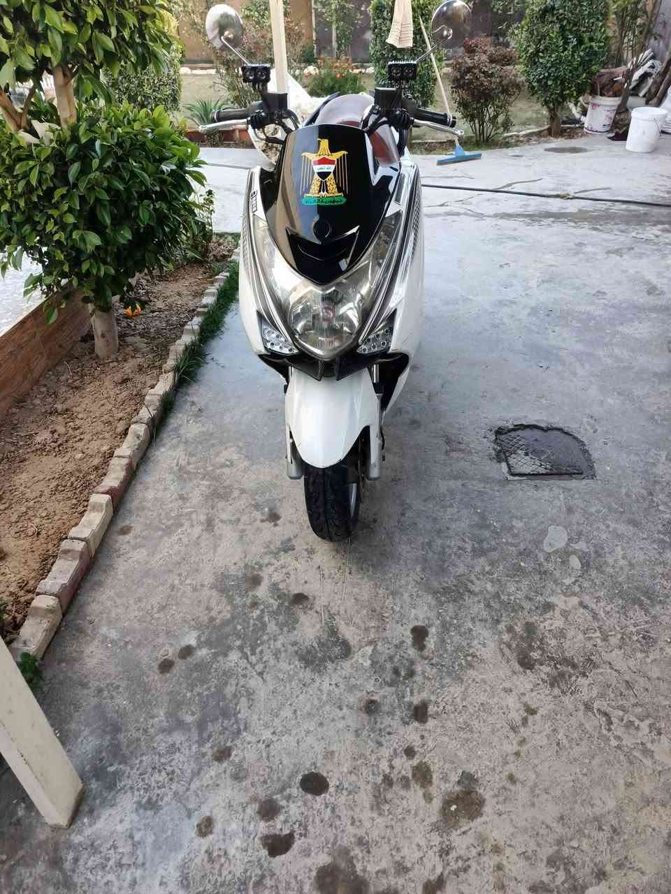 السلام عليكم و رحمة الله
ماجستا اس لون ابيض محرك 155cc 

الدراجة نظيفة من ناحية المحرك و مريحة جداً بالمشي 

كفراتها بلادية بيها شخوط و ملاحظات بسيطة 

الدراجة استعمال يومي 

 قبغاتها نفخ 
السعر المطلوب مليون. وبي مجال
للاستفسار الاتصال عالرقم ***********
