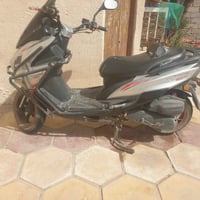 گوست • ٢٠٢٤ • نضيفه