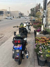 سكنس جبلي • ٢٠١٤ • مزودة