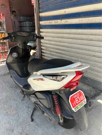 ماكس ثعلب للبيع  مكاني بغداد الحريه  07734005656 بغداد, العراق