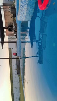 يوجد دونم طابو زراعي للبيع مع بيت جديد  في أبي جاهز للسكن بناء جديد ال...