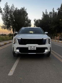 سورنتو • ٢٠٢٤ • ٧ راكب