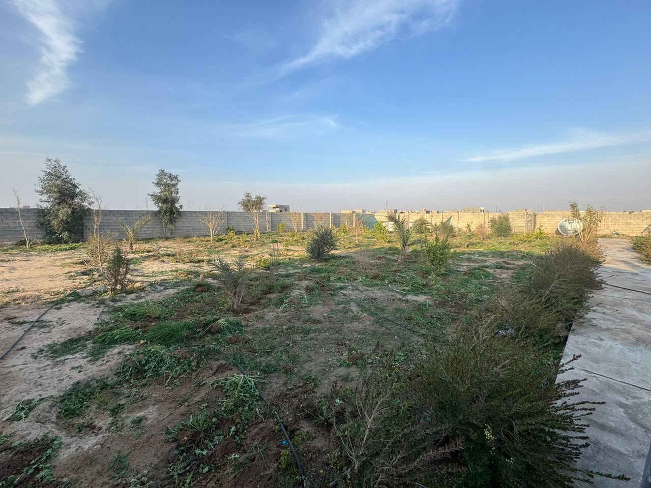 🏕️ مزرعة للبيع
📍 الموقع: الفرسان قرب سيطرة الأقواس
📏 المساحة: دونم واحد (50م × 50م)
🏠 تتضمن دار سكنية تحتوي على:
• استقبال
• صالة
• مطبخ
• غرفة نوم سويت
• مجموعة صحية خارجية
• مخزن
🌲🌳🌴🏞️
• حديقة بمساحة 600م²
• أشجار متنوعة
💰 السعر: 95 مليون  — قابل للتفاوض
📞 للاستفسار: ***********
