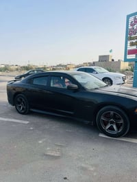 هيمي • فول • رقم بغداد مميز