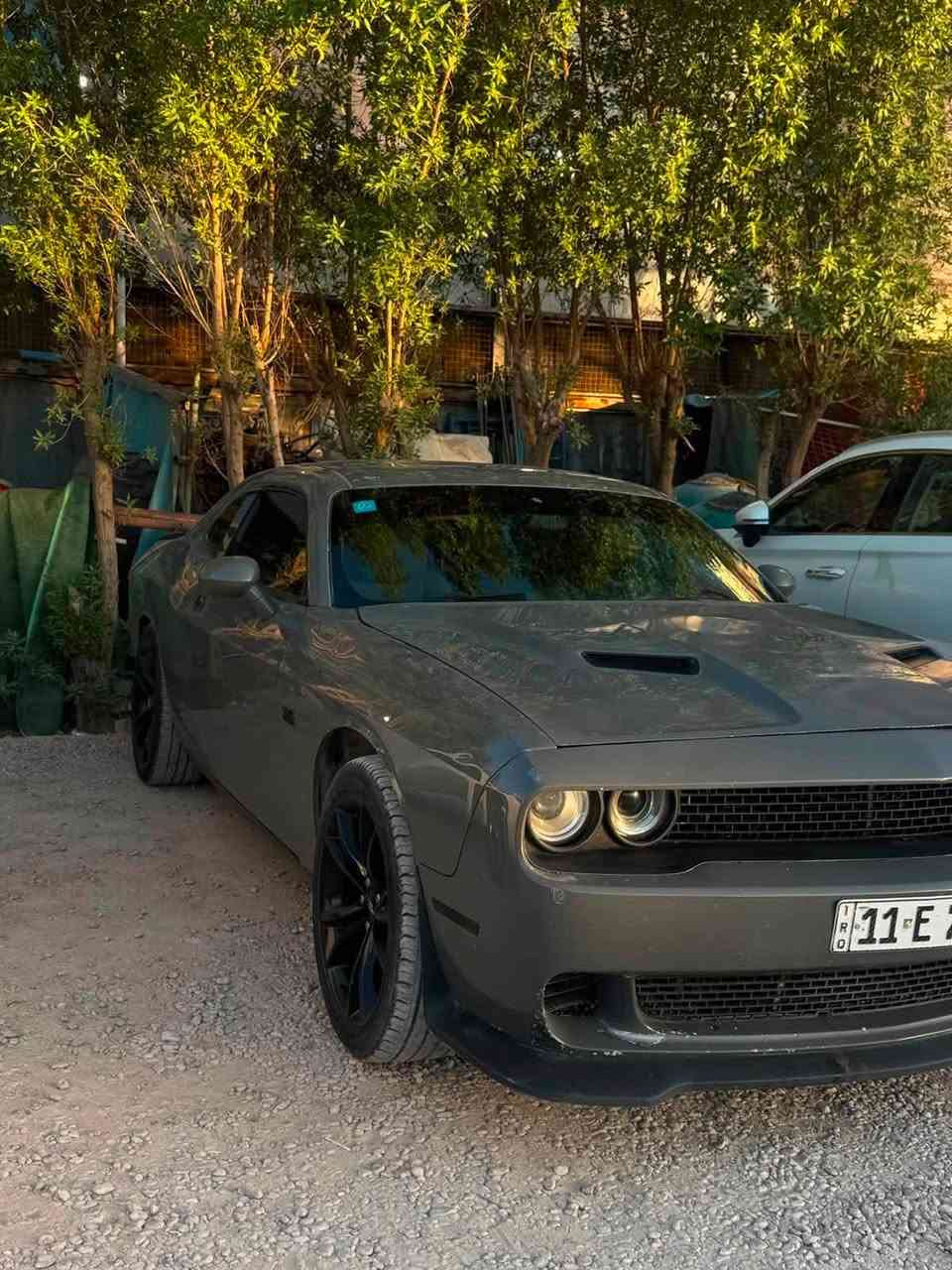 �🔥 للبيع أو المراوس مع الفرق 🔥🔥

💪 Dodge Challenger SXT 2019 💪

🩶 سيارة نظيفة ومشدودة وجاهزة للاستعمال بدون أي صرف.

🔹 حادثة 3 قطع صبغ فقط.
🔹 محرك + كير + حدادية شرط مع الكفالة ✅
🔹 محرك 6 سلندر جديد شرط 🔥
🔹 أكزوز ريموس 🔊 صوت مرتب وحضور مميز.
🔹 برمجة كاملة عند علي الحكيم ⚡
🔹 دواخل وكالة ونظيفة جدًا ✨
🔹 شلعة ونشاط فول 🚀
🔹 نصبتها أحلى من الصور 😍
🔹 رقم بغداد إنكليزي باسمي 🪪
🔹 السنوية مجددة والهزات والقطع الاستهلاكية جديدة 🔧
🔹 سيارة استخدام شخصي ومحافظ عليها ❤️

📍 الموقع: النجف

💰 المطلوب: 145 وقابل للتفاوض بالمعقول بعد المعاينة

🤝 أقبل المراوس بسيارة مناسبة مع دفع الفرق حسب الاتفاق

📲 للتواصل: ***********
