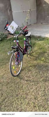 باسكل • موديل 19 • نجف كوفه