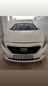 سوناتا • ٢٠١٧ • قطع صبغ