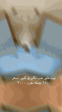 سلام عليكم متاح بيوت جميع أنواع الطيور مكان جمله ومفرد. مكان بغداد جسر ديالى *********** متوفر توصيل جميع الحافضات
