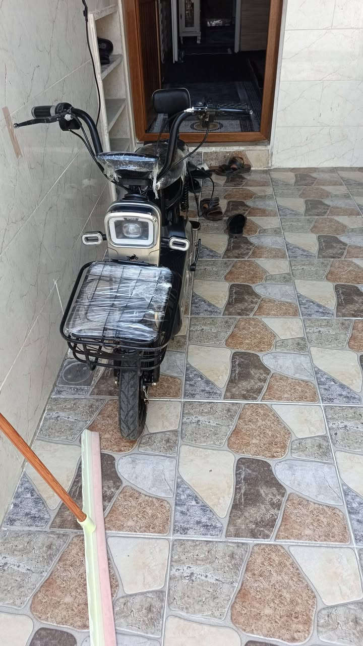 اربيل 250


**إذا كنت صاحب هذا الإعلان وتريد حذفه لأي سبب، رجاءا أرسل رسالة إلى الدعم الفني**