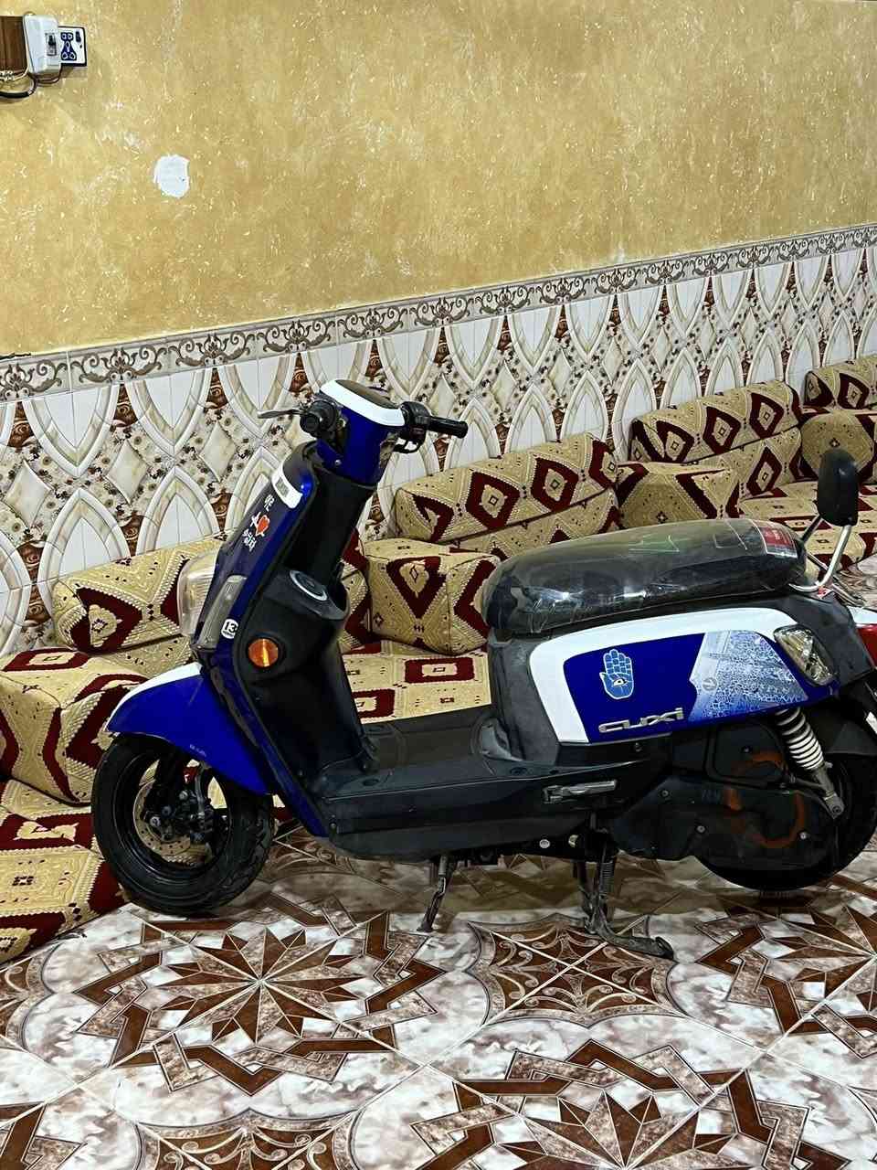 للبيع 
سوق الشيوخ سعر خاص🩷


**إذا كنت صاحب هذا الإعلان وتريد حذفه لأي سبب، رجاءا أرسل رسالة إلى الدعم الفني**
