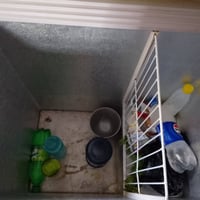 مجمدة صغيرة • الشعب