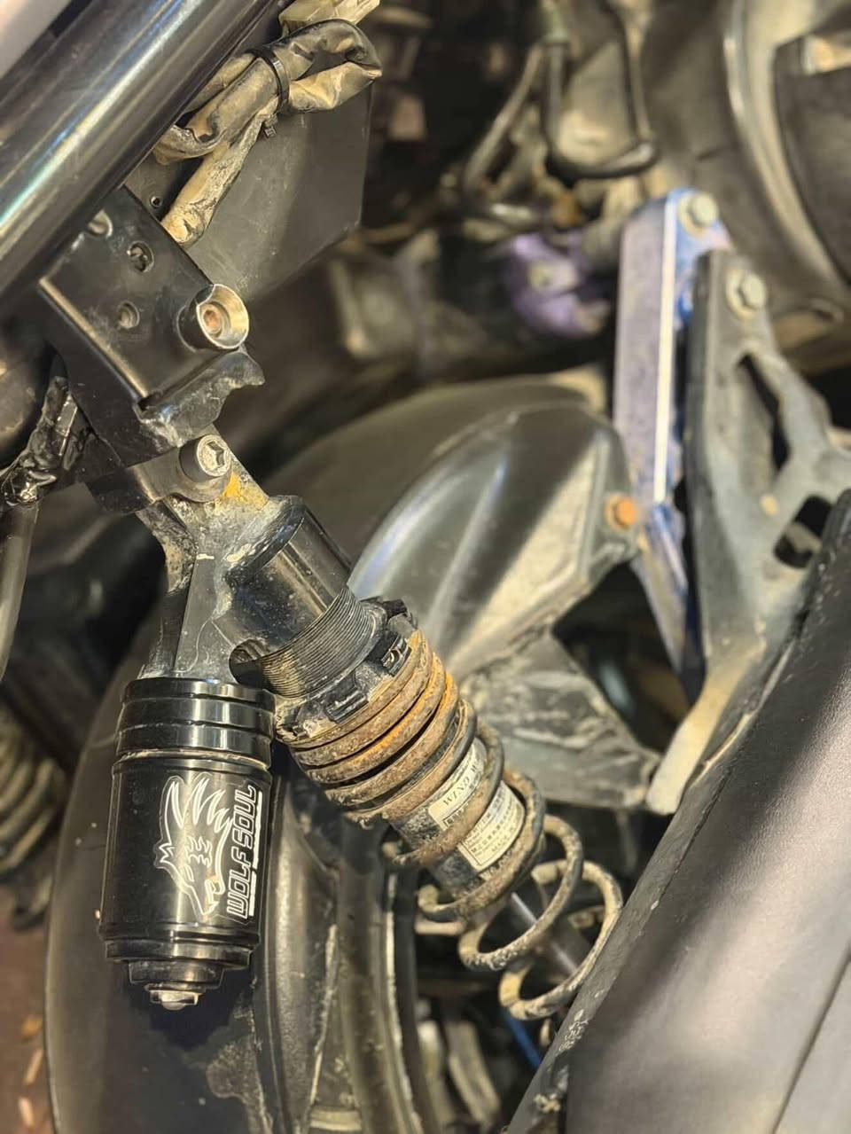 السلام عليكم سكنس جبلي بدراجة بلادية بيهة تزويد خارجي كلجات  هاوزن  كفر سبع لوان  دراجة تخبل شلعة ومعدل خير من للة ب950مكان بغداد دورة    *********** متوفر واتساب
