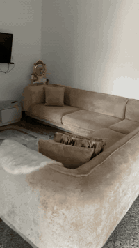 السلام عليكم تخم زاويه ٨ مقاعد  استخدام ٥ ايام قماش خاولي الاصلي واسفنج درجى اولى    سبب البيع الانتقال الى مكان اخر  ب٧٠٠   مكان بغداد الشعب 
***********
