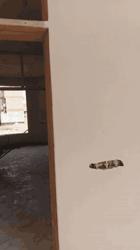 لبخ سمنت وجص بورك اشتغل مكطوه على اليوميه رقم الهاتف ***********
