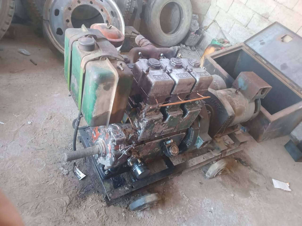 موالد للبيع الستر3بستم مكان ديالى قرية الحديد إستفسار عل رقم ***********
