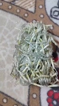 ٤ قطع • ديكور