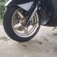 سكنز فحل للبيع  الدراجه خير من الله الدراجه اكفله من التاير للتاير  اي...