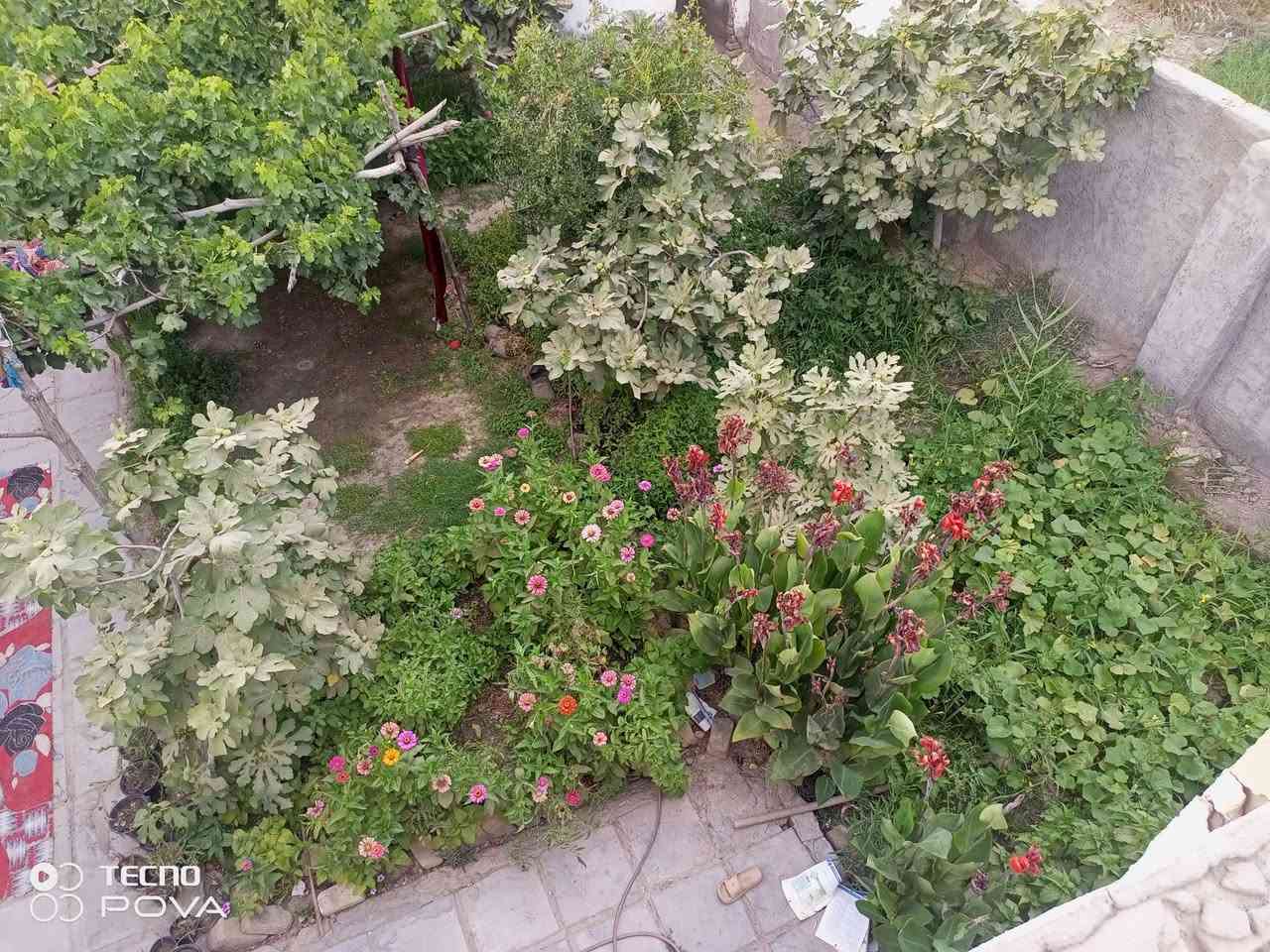 السلام عليكم 
قطعة أرض للبيع طابو اسود بستنة المساحة دونم(2500 متر مربع مع البيت بناء قديم يتگون من ثلاث اغرف صالة مطبخ صحيات وحديقة ) - متوفر جميع الخدمات المكان الرميثة منطقة الصويحية قريب جداً على مركز المدينة 
#للاستفسار واتساب***********
