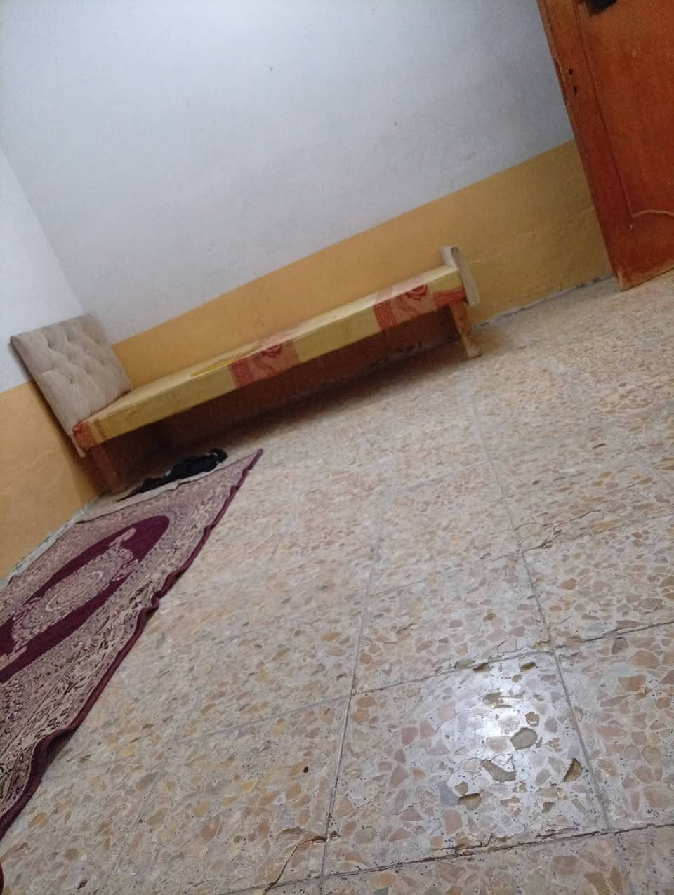 جربايه للبيع السعر خاص


**إذا كنت صاحب هذا الإعلان وتريد حذفه لأي سبب، رجاءا أرسل رسالة إلى الدعم الفني**