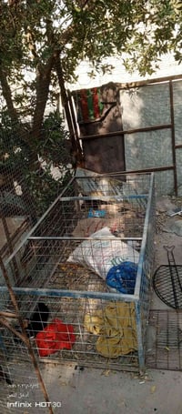 قفص مال دجاج البيع واضه رقمي 07866431646بي بس واصاب