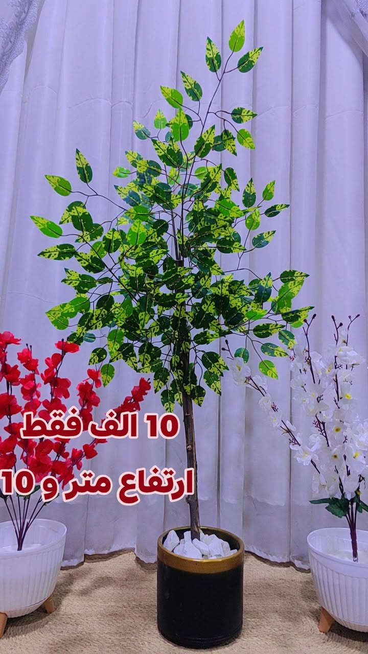 للحجز و الاستفسار مراسلة الصفحه


**إذا كنت صاحب هذا الإعلان وتريد حذفه لأي سبب، رجاءا أرسل رسالة إلى الدعم الفني**