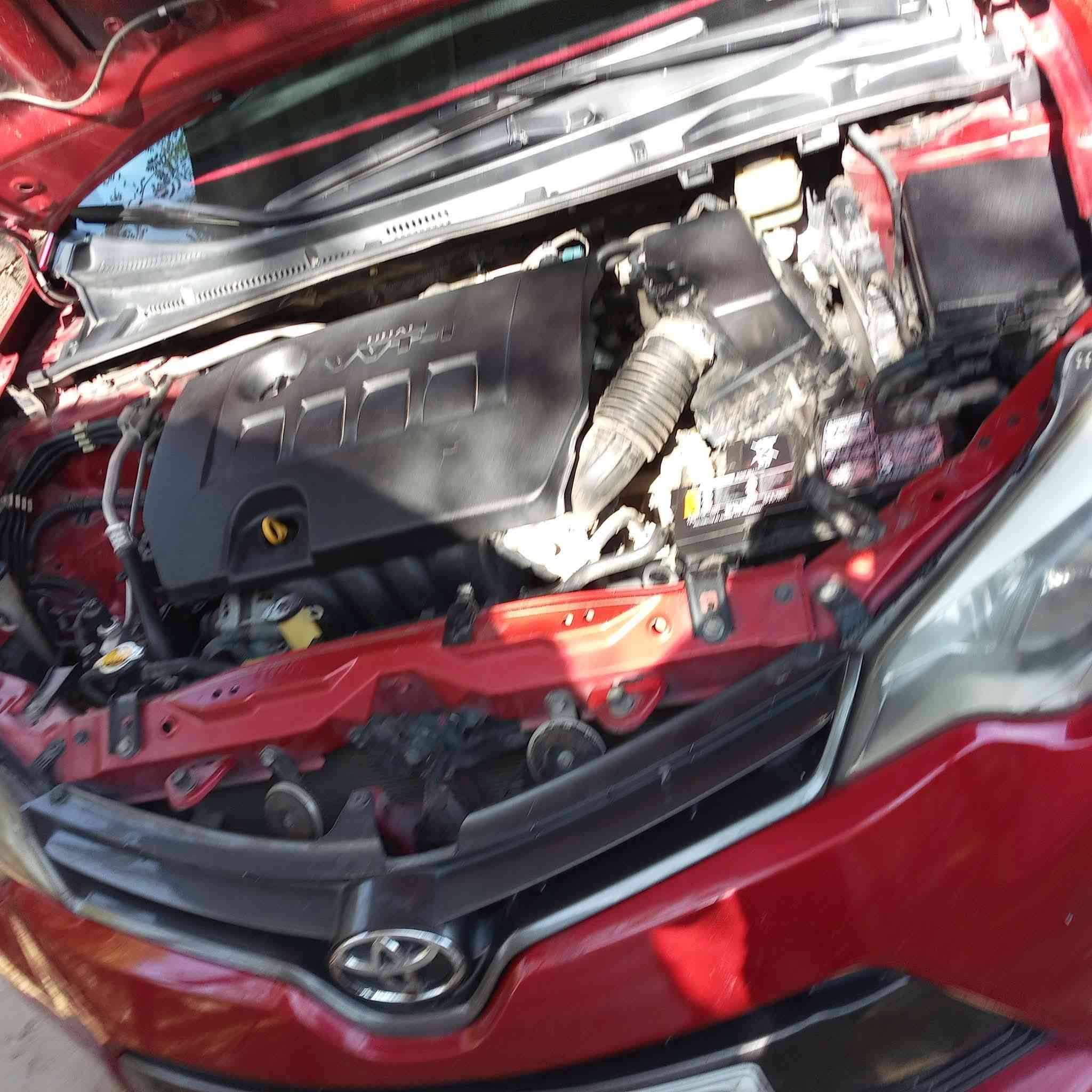 تويوتا كورلا موديل 2016 أمريكي
رقم السلمانيه دولي جديد شرط التحويل والغرامات 

محرك 1800 شرط لا مفتوح ولا تنقيص ولا تبخير 

كير شرط بدون عيب 

تبريد ثلج 

صدر امامي وخلفي جديد 

تايرات جدد 

تحكم استيرن جهتين 

مثبت سرعة 

اشاير بالمري 

تحكم امري كهربائي 
***********
