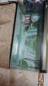 حوض اسماك • كامل • كلش نضيف