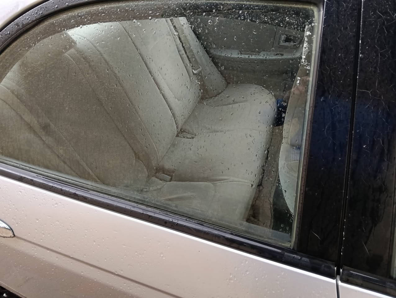 سلام عليكم كيه سبكتره مديل 9 مروس فقط شنو عندك اروس


**إذا كنت صاحب هذا الإعلان وتريد حذفه لأي سبب، رجاءا أرسل رسالة إلى الدعم الفني**