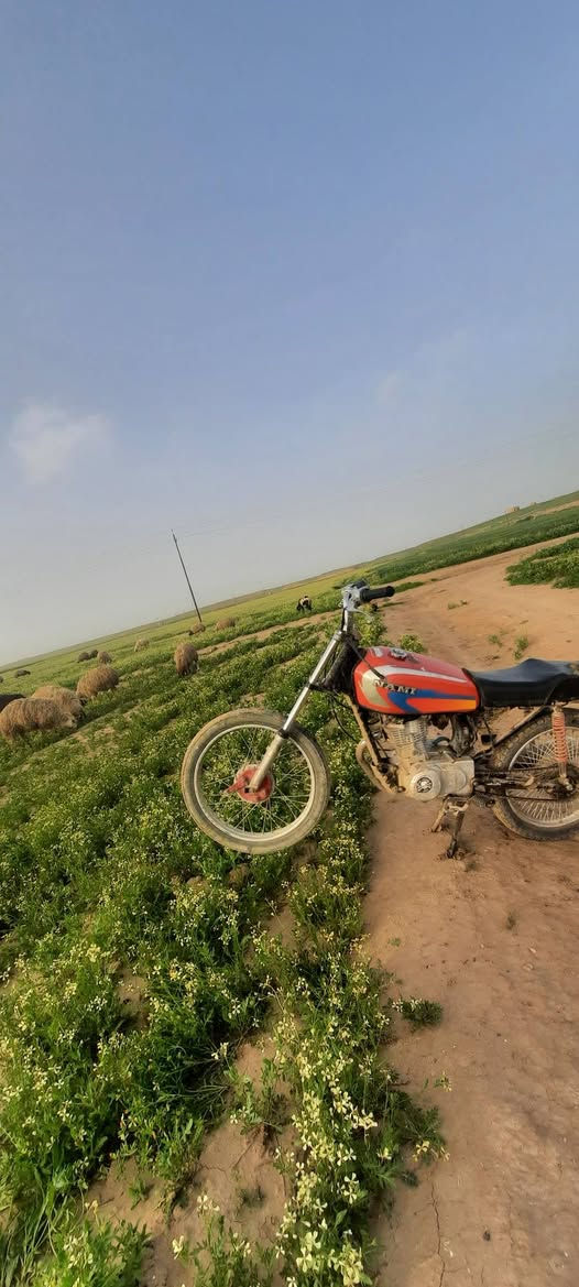 سلام عليكم نامه ال بيع محرك مفتوح نشاط تاكل الكاع موديل 2020 السعر ٣٥٠ وبي مجال 
@***********
