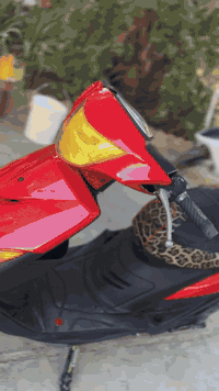 السلام عليكم للبيع ماكس عدله مكينه مزوده 55كهربائياته كله شغاله شلعه ومعدل فول إذا مادك 120انطيكياه بلاش السعر 600العنوان سامراء الحويش هاتف ***********
