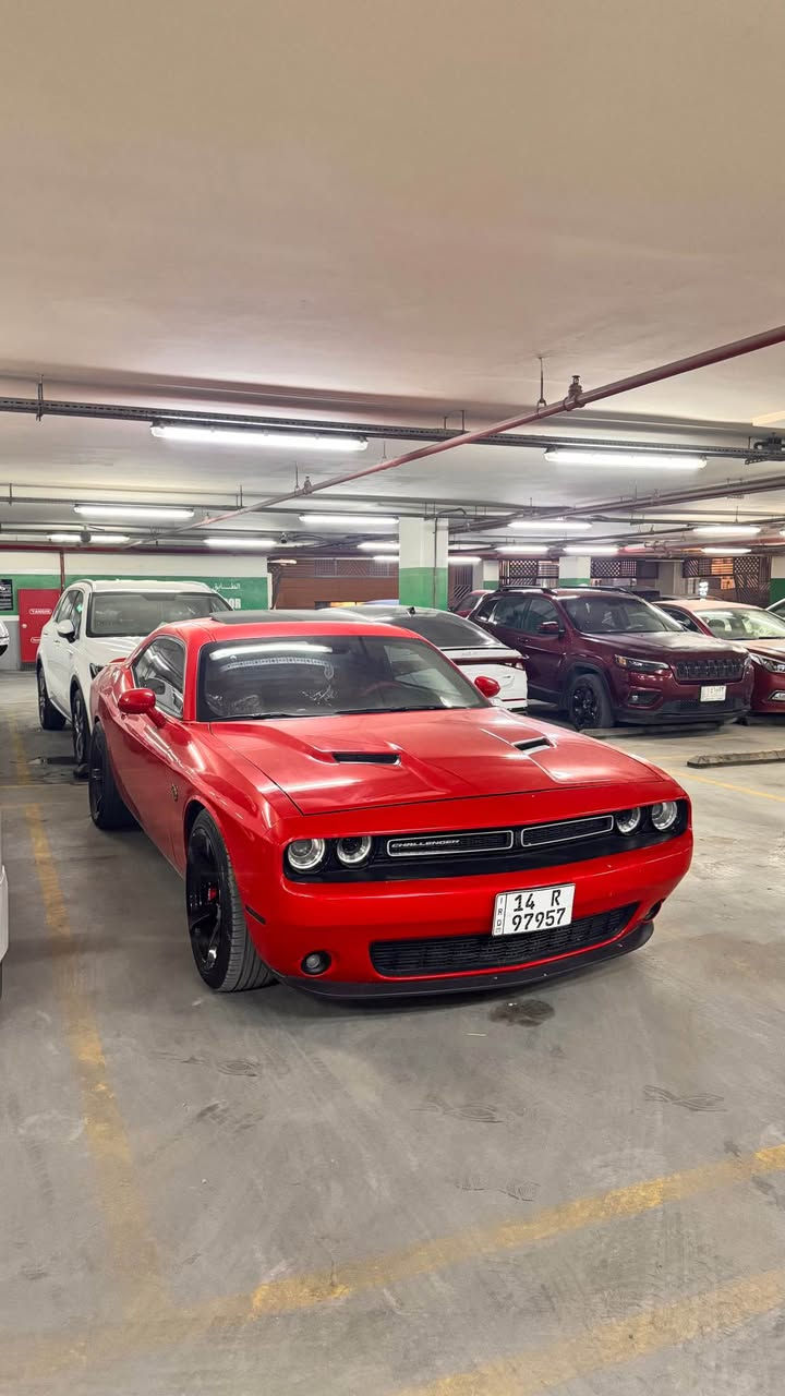 جالنجر 2016 فول مواصفات sxt plus
فتحه *
داخل جلد احمر 
كشن تدفئه تبريد 
ستيرن تدفئه
رادار خلفي 
رادار جانبي نقطه عمياء 
حساسات خلفية 
ويل نجمه خسفه قويه مع تاير خلفي 315
كشن كهرباء 
ستيرن كهرباء 
وباقي مواصفات المعروفه 
سياره نظافه 100‎%‎ بدون زلوغ ولاحادث بدون اي نقص 
ادامة كامله للسياره 
رقم بصره حرة باسمي سنويه جديده رقم جديد 
العنوان بصرة 📍السعر 175 اذا معاجبك سعر فدوه الك سياره واعبر المنشور 
*********** واتساب فقط 
للبيع او المراوس البصرة, العراق
