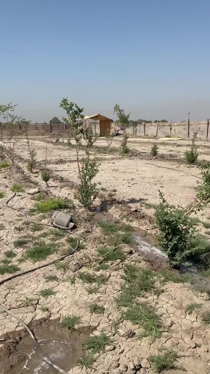 السلام عليكم اخوان مزرعه للبيع مساحه 2500 متر طريق الدغاره خلف مطعم واثق سند 25 جاهزه من كلشي ماء وكهرباء ومسيجه بالكامل  وبيهه ايضا بير ارتوازي   اخوان مستعجل ع البيع سعرهه كلش مناسب للجاد فقط رجاء ***********

