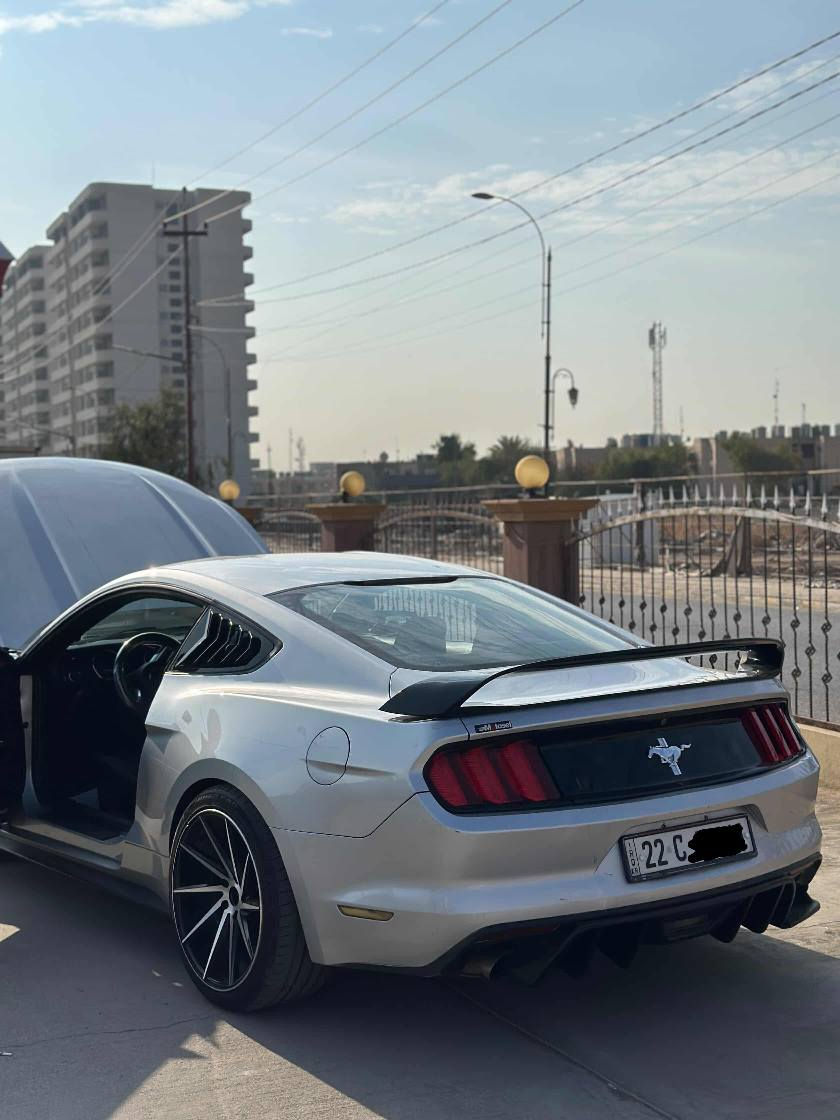 السلام عليكم
موستنگ 2015 V6 

لون سلفر 

رقم شمالي أربيل الجديد 

سنوية وهزة جدد لل2030

حادث كلش خفيف بجم كبس جامرلغ الخلفي وباب صبغ 

عدة القطعتين الباقي كفالة 

دواخل كلها بشرط

سونار كامل موجود 

مكينة گير اكسل بالشرط 

الاضافات 

شباك RTR 

لحية 

ويالة ڤوسن حجم 20 

سكوبات مراية وجام 

شاشة جبيرة 

جناح 

دفيوزر 

السيارة نظيفة بشكل وجاهزة بدون مصرف غرفتها وضع شركة 

مكانها كركوك 

السعر 138

*********** بي واتس كركوك, العراق
