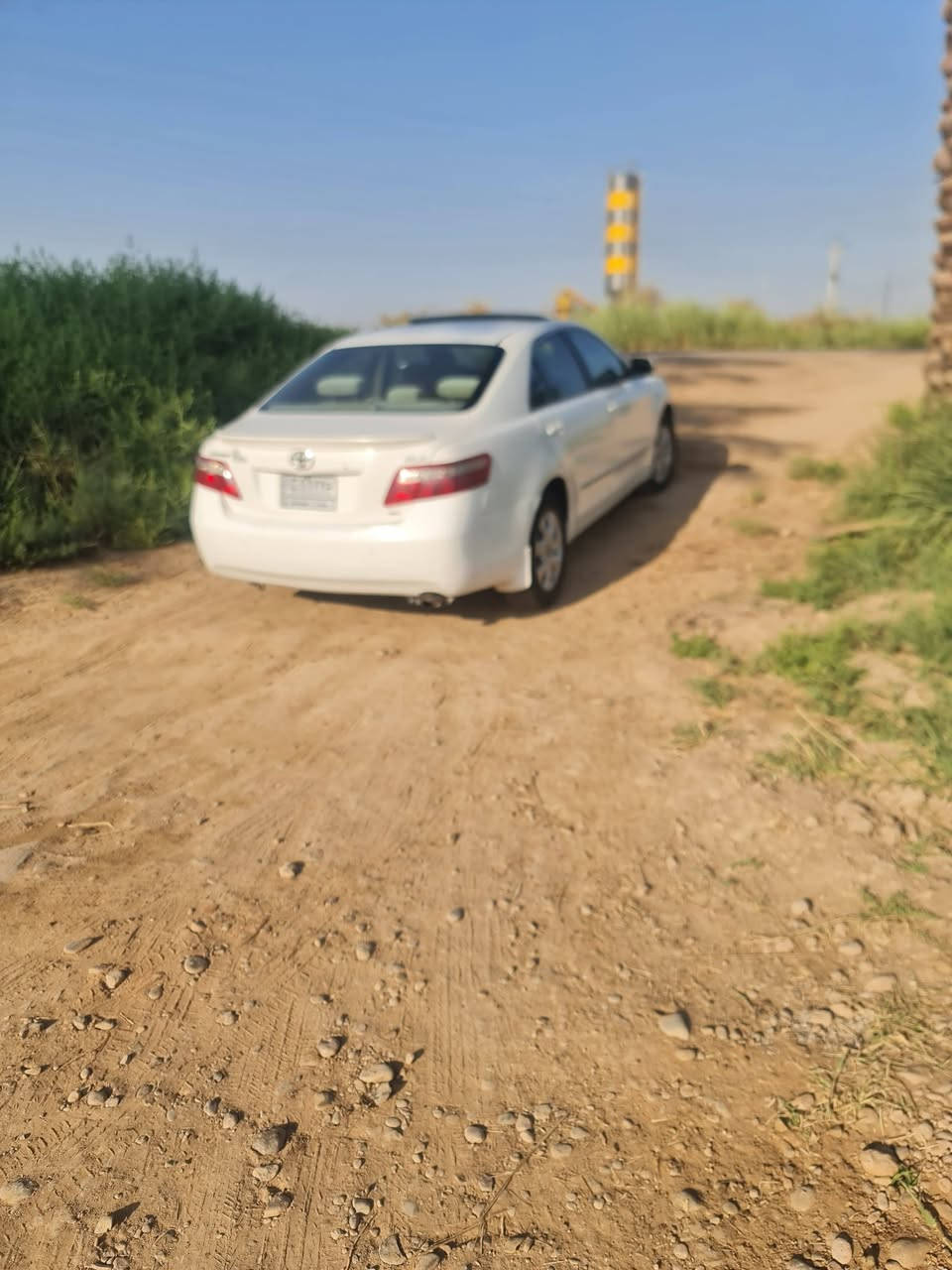 كامري موديل 2008 خليجي فول مواصفات 1على 1 رقم بغداد ألماني، السيارة شرط بدون اي حادث بيها قطعتين تبديل بس جامرلوغ وبنيد تبديل بلادي أثر شخوط ،شرط التحويل ،السعر 100$ وبيها مجال، للتواصل ***********
