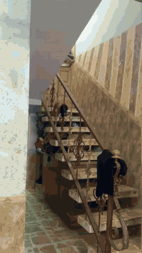 السلام عليكم. 
بيت طابو صرف مساحته ٢٨٢متر 
مكانه ابو صخير مناذره. قرب مرطبات الاعرجي. مقابيل روضة الشروق. يحتوي  على ٢غرف  وكراج  خلف البيت مثل مموضح بل  منشور 
مكلف بل نشر ‭٠٧٨٠ ٤٣٣ ٦٤٣٧‬
