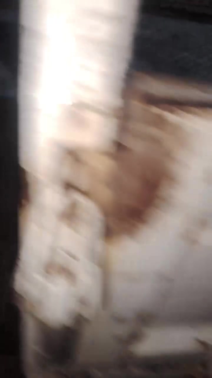 سلام عليكم بوقيه ونبيثري ومضخم للبيع شغالات سعر خاص مكان ناصريه مركز شراي يجي خاص  ***********
