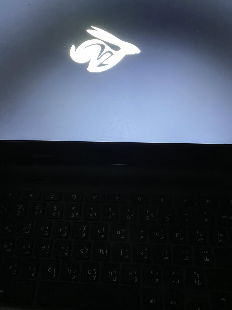 شباب عندي هاذ البتوب الدل ويا شاحنتة كلة شغال غل فحص مكاني بغداد  الدورة رايدة ب٧٥ وبي مجال أي استفسار
***********بي واتساب
