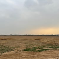 السلا عليكم 13 دونم للبيع  موقعهن بغداد بوب الشام طابو زراعي سند 25   ...