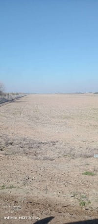 العيساوية • ٢٠ دونم • طابو سند