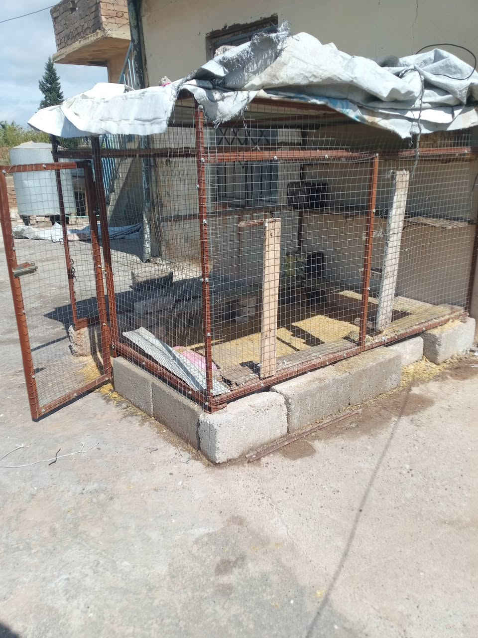 قفص للبيع السعر 120 وبي مجال


**إذا كنت صاحب هذا الإعلان وتريد حذفه لأي سبب، رجاءا أرسل رسالة إلى الدعم الفني**