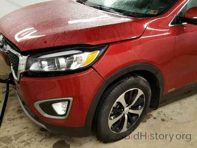 سلام عليكم سورنتو موديل 2016وارد امريكي حادث نص دعاميه فقط موجود حادثها مع صور مكفوله من الصبغ وتبديل محرك 4سلندر 2000تيربو فول موصفات 1-1صور الحادث وسونار مرفق مع صور سياره مكان سياره بغداد اليوسفية )(السعر165وبيها مجال 
رقم الهاتف ***********
