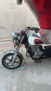 ستوتة • ٢٠٢٠ • بليتة