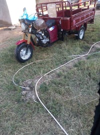 ستوته • ٣ أوراق • العزيزية