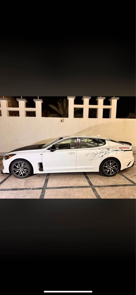 سلام عليكم : من رخصه الأدمن (بيع مستعجل )
📌كيه (ستنكر)GT 2500تربو 
(رقم بصرة معوقين أنطي وكاله وكفل تحويل) .
📌مديل (2022).
📌ضرر بنيد بيها قطعه فقط .
📌ماشيه (65)الف ميل .
📌كير+مكينه+اكسل (كفاله).
📌منضومه زينون.
📌تخم تاير (جديد).
📌حداده ولا نقص .
📌السعر (177)كلش مناسبه بنسبه الخواتهه
مكاني البصرة 
                        *********** البصرة, العراق
