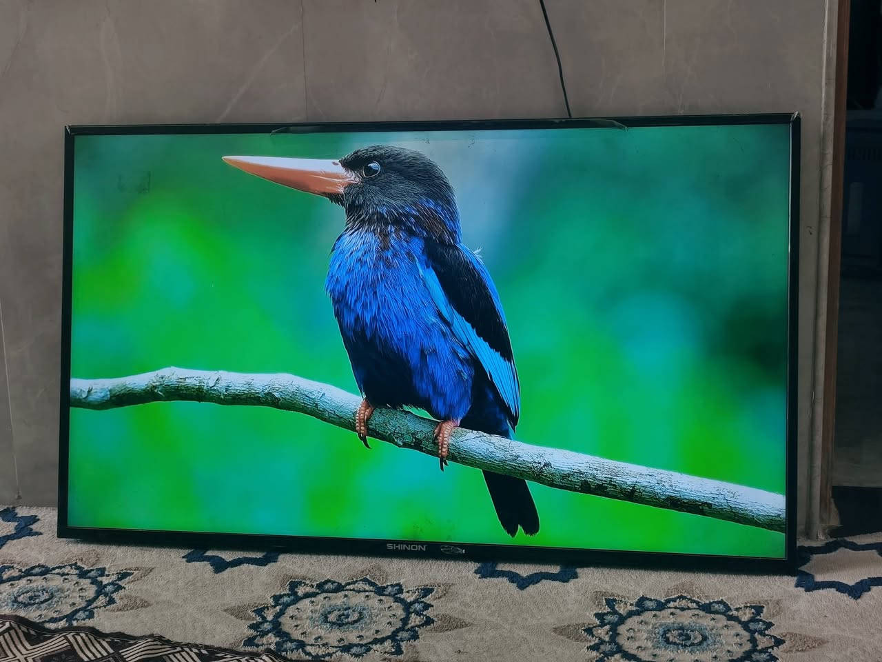 شاشة شينون سمارت حجم ٥٥ دقة فوول يوتيوب كاملة سعر ٢٥٠ وبي مجال وعندي غسالة سامسونج ٢٢ كيلو فوول اوتماتيك نفيرتر حجم كبير بلادية سعر ٥٢٥ وبيها مجال بسيط مكاني بغداد قرب الشعب


**إذا كنت صاحب هذا الإعلان وتريد حذفه لأي سبب، رجاءا أرسل رسالة إلى الدعم الفني**