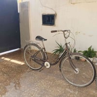 باسكلات • اثنين • فيهم مجال
