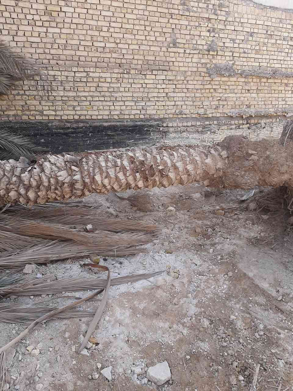 السلام عليكم نخلات بلاش منو يردهن حطبةمكانهن حي سعد


**إذا كنت صاحب هذا الإعلان وتريد حذفه لأي سبب، رجاءا أرسل رسالة إلى الدعم الفني**