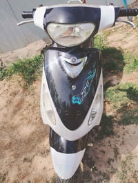 بوشه 55 • ٢٠٠٦ • معدل