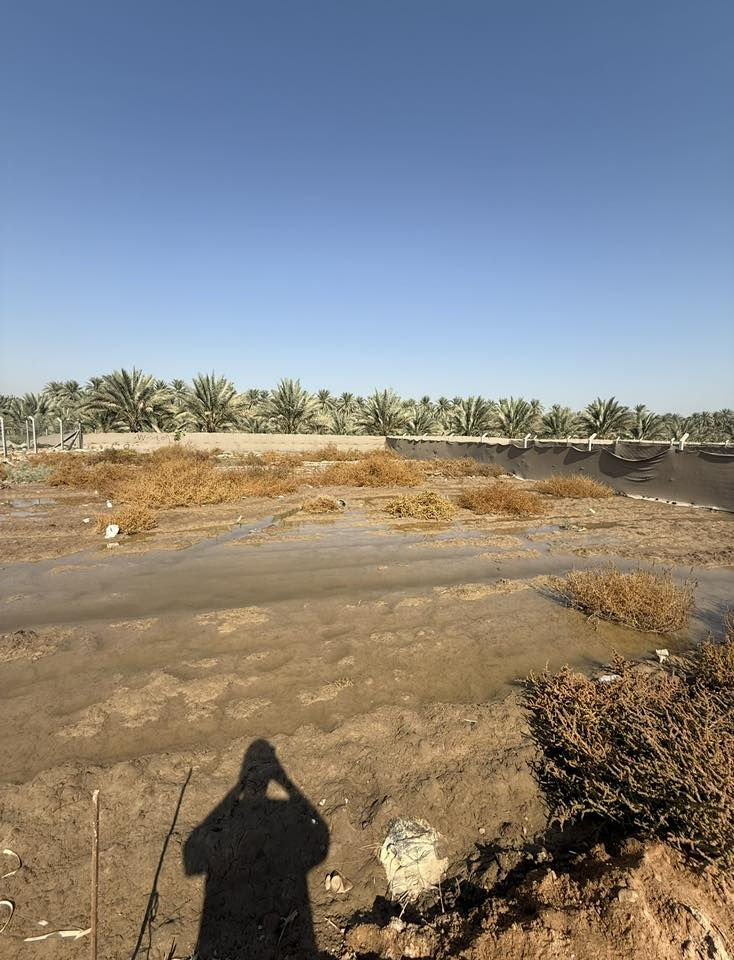 500 متر طابو زراعي تحويل اسهم باسمي كربلاء قرب المعهد الفني خلف جامعة الامل نهر السلام فرع مدرسة دمشق 
السعر 27 مليون وبيها مجال 
***********
