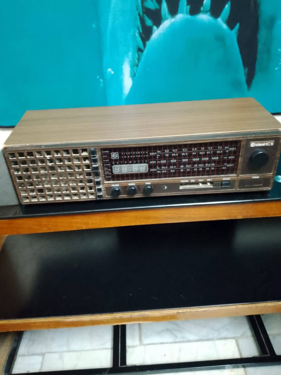 سعر الكول كول الي شوفه بل منشور 
٣٥٠ الف عراقي فقط 
عنواني بغداد الرصافه حي اور رقمي بيه وتساب 
***********
